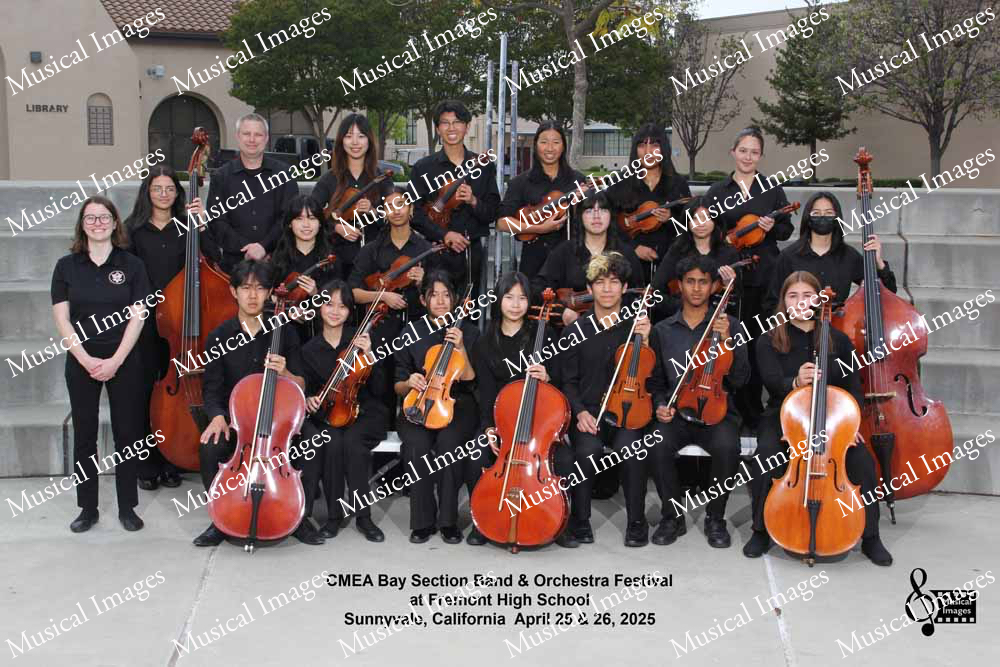 Musical Images